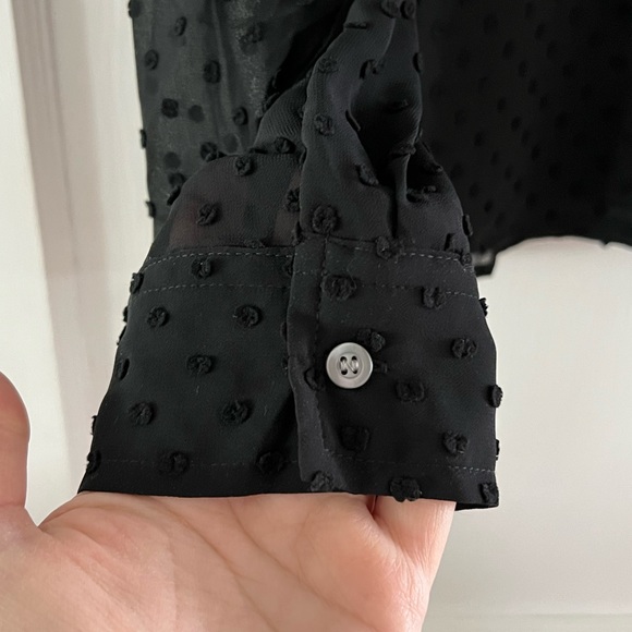 Set of two NWT JCrew Swiss dot button front blouse. - Picture 5 of 8